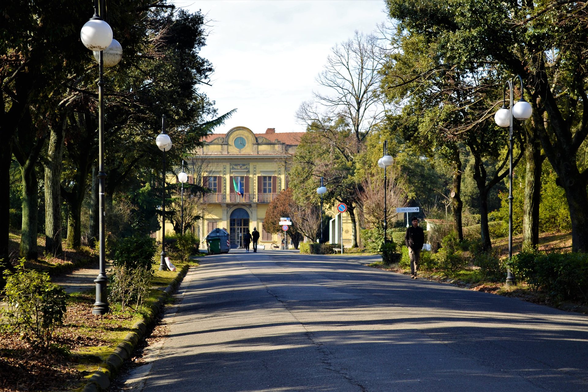 Main access roadg.jpg